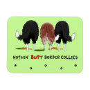 Recherche de chien de border collie magnets Animaux familiers