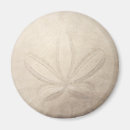 Recherche de dollars magnets Sanddollar