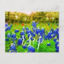 Recherche de bluebonnet invitations Pour tous