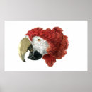 Recherche de ornithologie posters Peinture