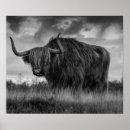 Recherche de scotland posters Écossais