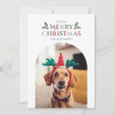 Recherche de animaux de noël cartes Moderne