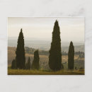 Recherche de paysage toscane cartes postales Nature