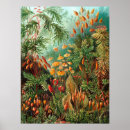 Recherche de zoologie vintage posters Nature