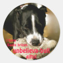 Recherche de staffordshire autocollants Pitbull
