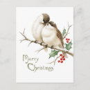 Recherche de baies de houx cartes postales Hiver