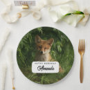 Recherche de anniversaire de renard assiettes Boisé