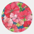 Recherche de géranium autocollants Botanique