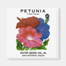 Recherche de pétunia magnets Jardin