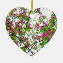 Recherche de fleurs de cerisier ornements Rose
