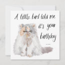 Recherche de persan vœux cartes Amoureux des chats