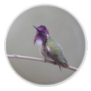 Recherche de petit animal boutons et poignées de porte Nature