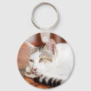 Recherche de felines porteclés Minou