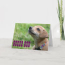 Recherche de le chiwawa vœux cartes Mignon