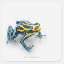 Recherche de reptiles autocollants Échelles