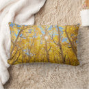 Recherche de nevada coussins Californie