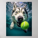 Recherche de amoureux des animaux art Chien mignon