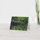 Recherche de tortues vœux cartes Vert