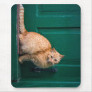 Recherche de port tapis souris Animal