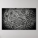 Recherche de bactérien posters Soins de santé