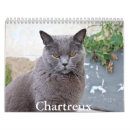 Recherche de chartreuse bureau fournitures Chat