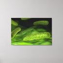 Recherche de rapport impressions sur toile Biologie moléculaire