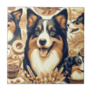 Recherche de berger australien carreaux Chien