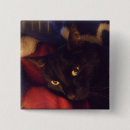 Recherche de minou noir badges Chats