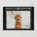 Recherche de chiens de coeur cartes postales Pour animaux