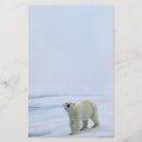 Recherche de ours polaire papier à lettre Sauvage