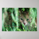 Recherche de chaton art Vert