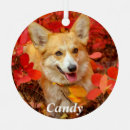 Recherche de pembroke welsh corgi ornements Amoureux des animaux
