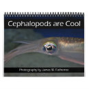 Recherche de céphalopode Animal