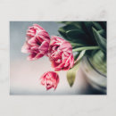 Recherche de vase de tulipes cartes postales Bouquet