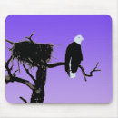 Recherche de chauve souris tapis souris Portrait