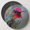 Recherche de colibri badges Rose