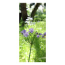 Recherche de pourpre cartes publicitaires Nature