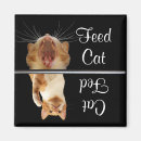 Recherche de fun magnets Chat