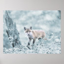 Recherche de fox paintings posters Neige
