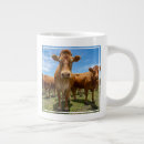 Recherche de farm tasses Livestock