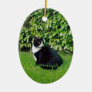 Recherche de de minou ornements Smoking