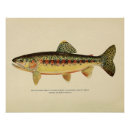 Recherche de truite posters Rivière
