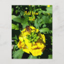 Recherche de abeille fleur cartes postales Fleurs