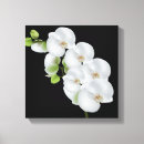 Recherche de orchids art Nature