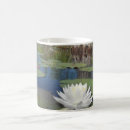 Recherche de water tasses Paysage