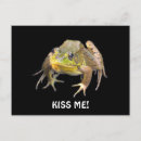 Recherche de humour princesse cartes postales Pour tous