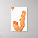 Recherche de membrane posters Image de couleur