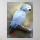 Recherche de perroquet art Peinture