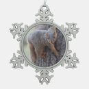 Recherche de écureuil de ornements Animal