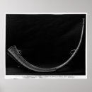 Recherche de french horn posters Instrument